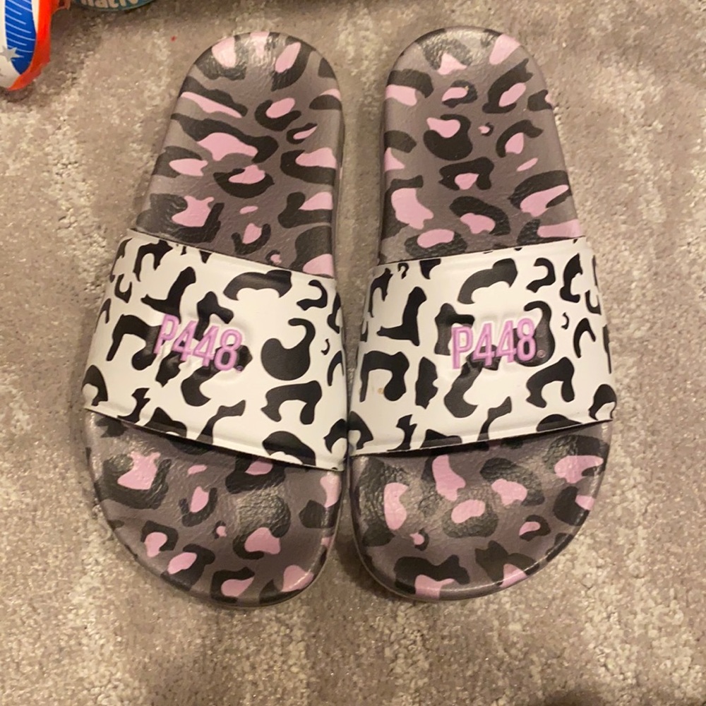 P488 slides